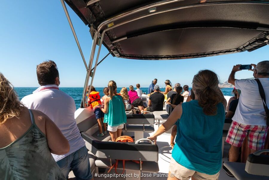 Setúbal: Dolphin Watching Boat Tour - Who will enjoy this Setúbal boat tour most?