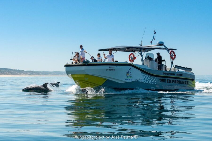 Setúbal: Dolphin-Watching Boat Tour - Why this Setúbal cruise is more than a dolphin chase