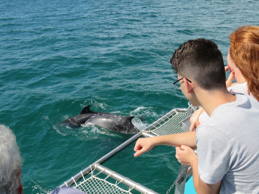 Setúbal: Dolphin Watching Tour - A Moscatel welcome before the search begins