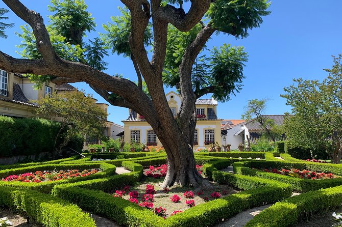 Setúbal Wine Tour with Visit and Tasting at 2 Wineries - José Maria da Fonseca and 190 years of wine