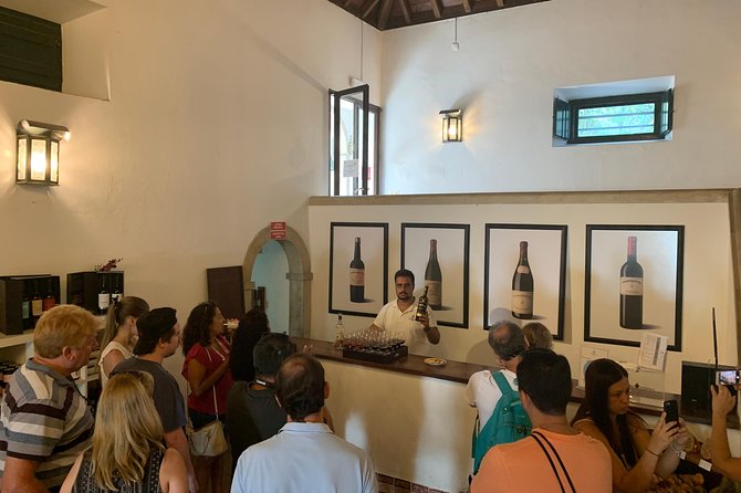 Setúbal Wine Tour with Visit and Tasting at 2 Wineries - Transport, timing, and the value of $117.96