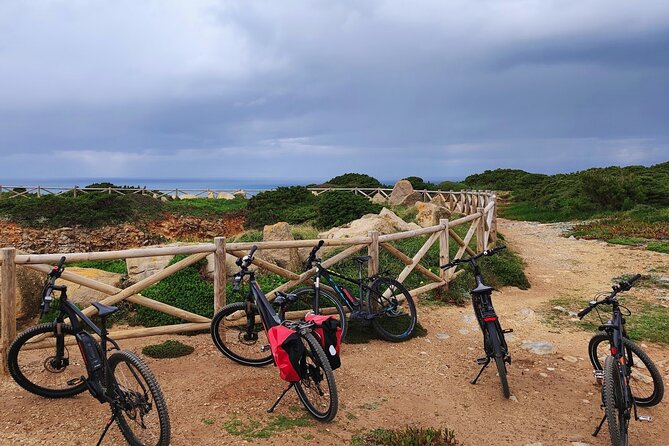 Sintra & Cascais de E-Bike Tour - Riding through the Serra de Sintra