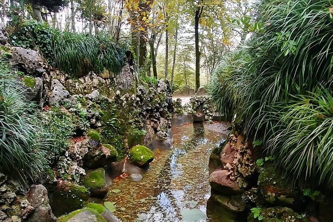 Sintra Full-Day Private Tour - A Journey through Wonderland - Choosing between the Moorish Castle and Sintra National Palace