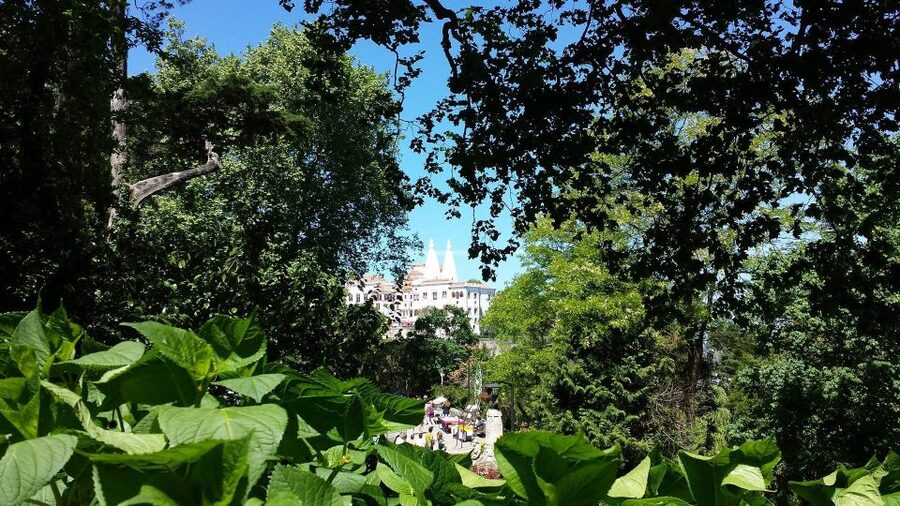Sintra: Full-Day Tour from Lisbon with Wine Tasting - Sintra village, fountains, and palace streets