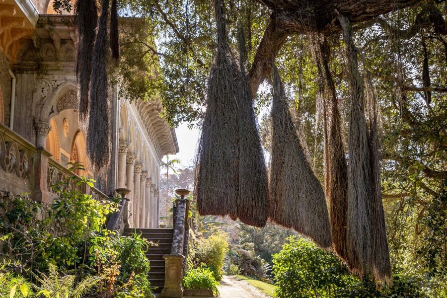 Sintra: Monserrate Palace & Park Ticket - Why Monserrate feels different from Pena Palace