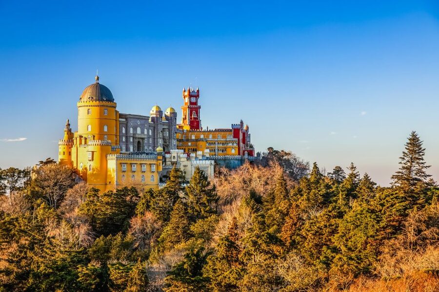 Sintra: Pena Palace and Park Entrance Ticket - Pena Park rewards a slower pace