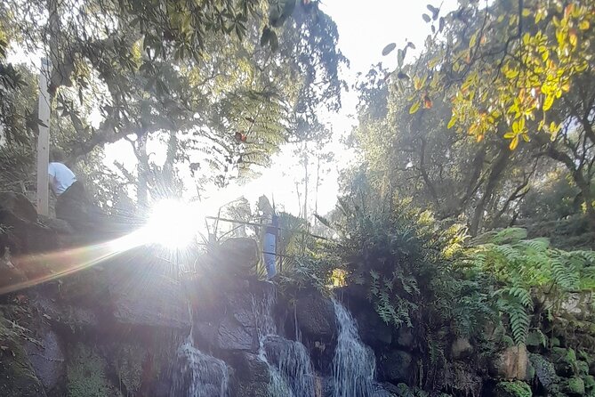 Sintra Private Tour 2 Palaces Roca Cascais Tailored up to 7 - Free time in Cascais