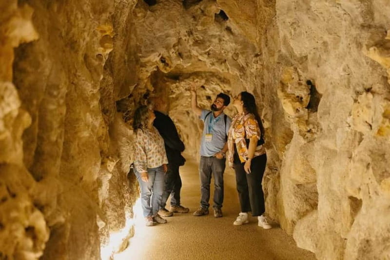 Sintra: Quinta da Regaleira Entry Ticket and Guided Tour - Why Quinta da Regaleira Feels Different