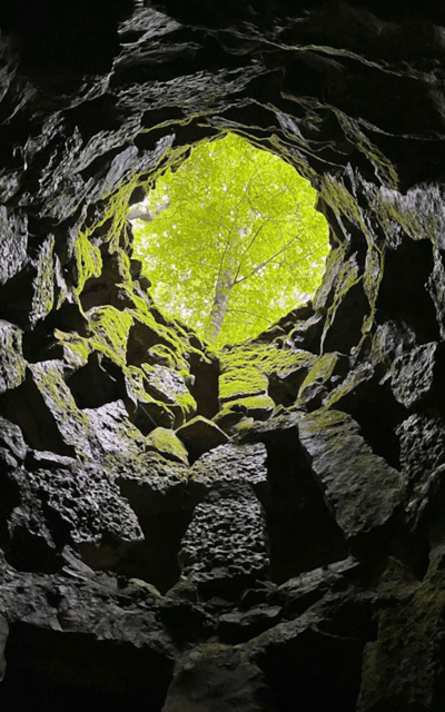 Sintra: Quinta da Regaleira Entry Tickets with Host - Inside the Romantic Palace and chapel