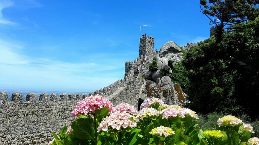 Sintra: Truly Private Tour to Pena Palace & Regaleira - A private vehicle makes Sintra easier