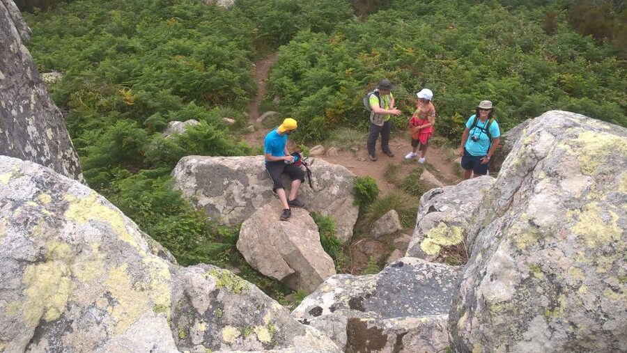 Sintra: Walking Tour with Palace, Castle, and Old Town Visit - Who should book this Sintra walk