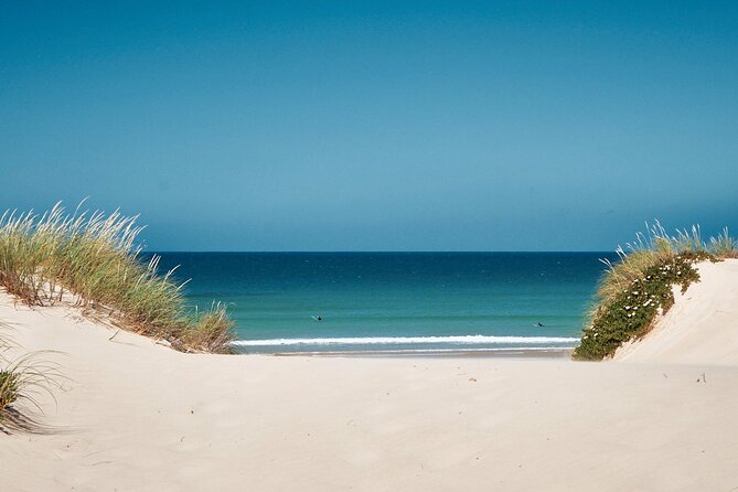 Surf Courses In Peniche and Baleal Portugal - Why Baleal is a smart place to learn surfing