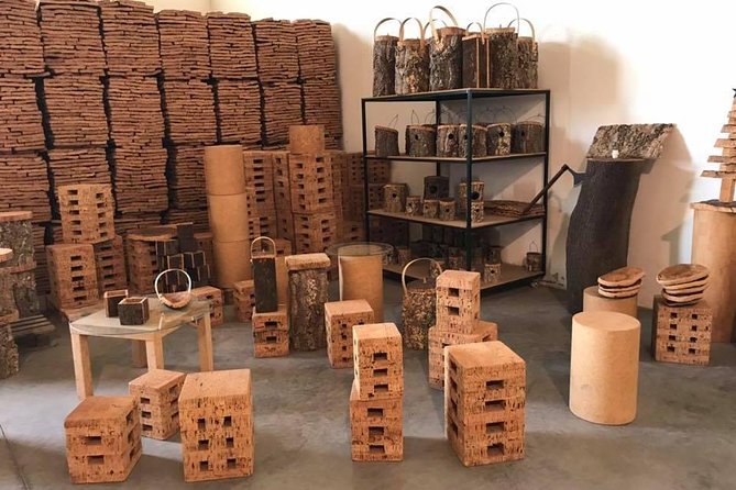 Tour Évora and Alentejo in a private tour - The Cathedral, rooftop views, and Renaissance details